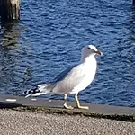 Traveloge Mit Schwimmbad Und Sauna